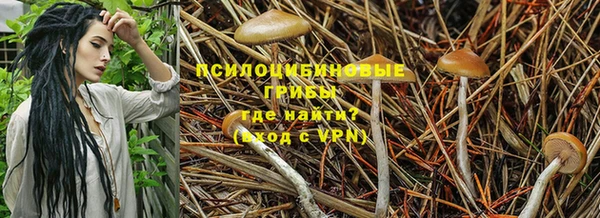 PSILOCYBIN Абинск
