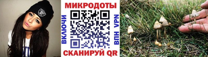 Псилоцибиновые грибы Psilocybe  Отрадное 