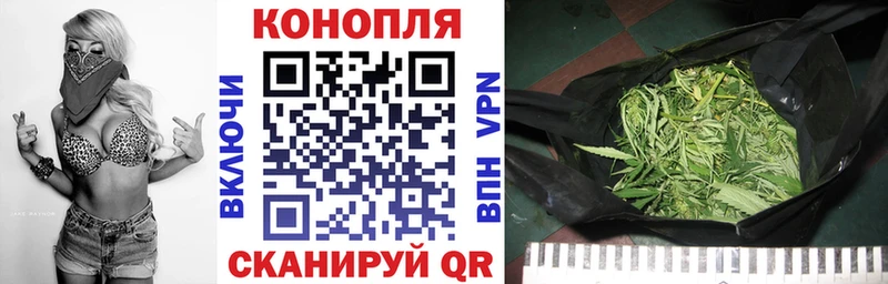Конопля White Widow  дарнет шоп  мориарти формула  Отрадное 